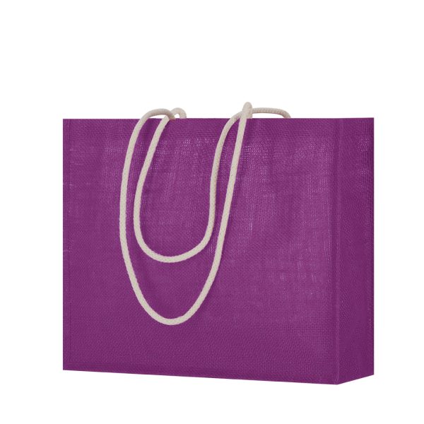 Bolsa Hintol
