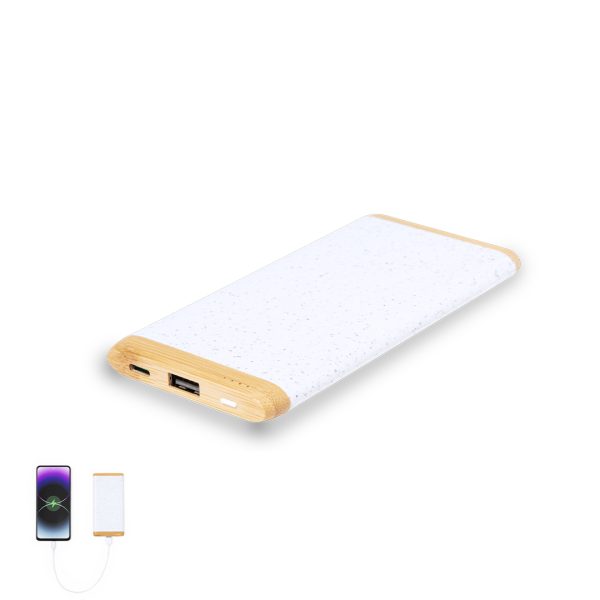 Power Bank Coquin